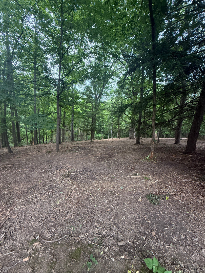 Cleared Ohio property after forestry mulching